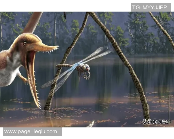 斯通斯：探索音乐传奇背后的故事与不朽魅力