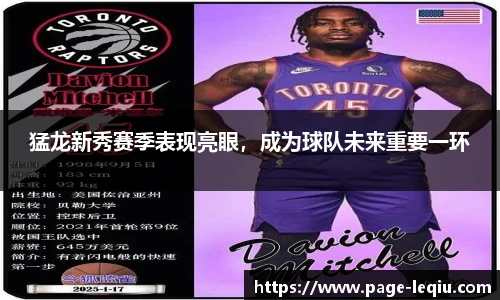 猛龙新秀赛季表现亮眼，成为球队未来重要一环